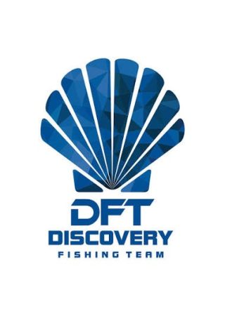 DFT DISCOVERY logosu